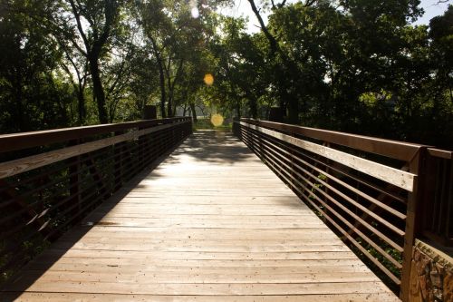 bridge nature scenic