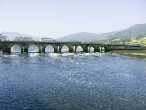 bridge sea nursery