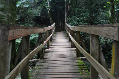 bridge crossing wooden bridge