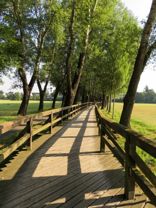 bridge web wood