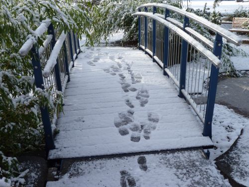 bridge footprints winter impressions