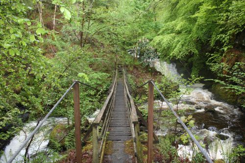 Bridge And Waterfall