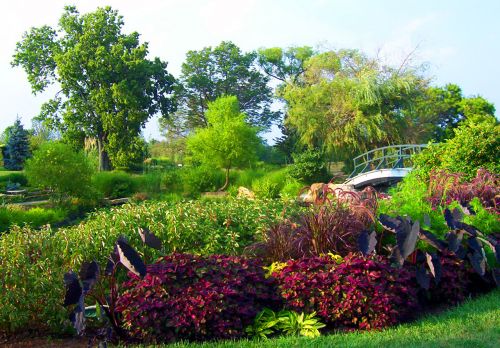 Bridge At Park