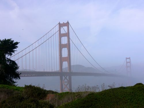 Bridge In Misty Morning