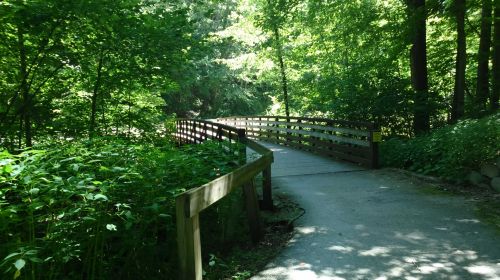 Bridge In Summer