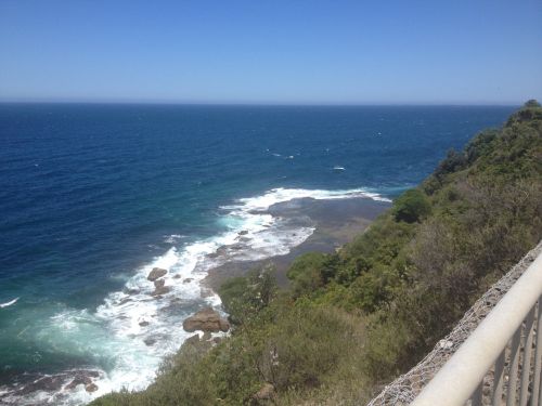 Bridge Overlooking The Sea