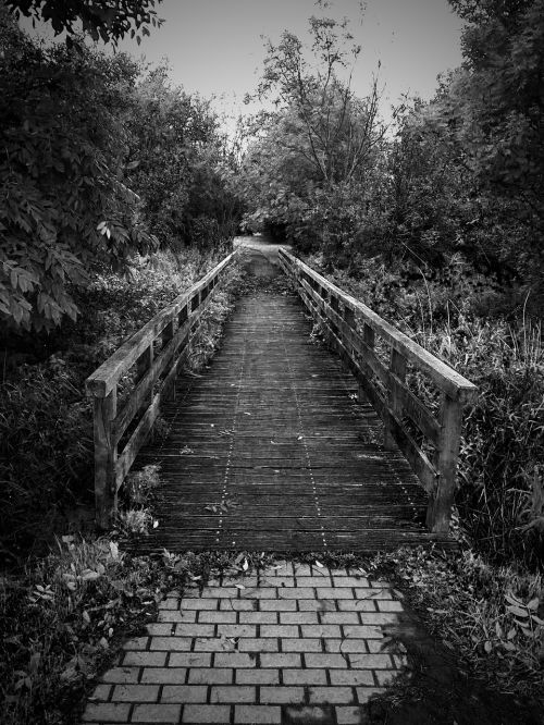 bridge wooden bridge mystical