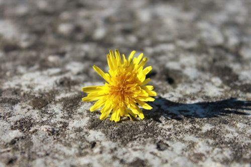 bright broken close-up