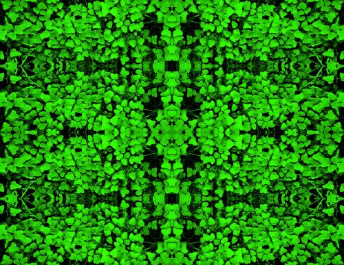 Bright Green Fern Repetition