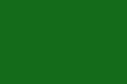 Bright Green Monocolor Background