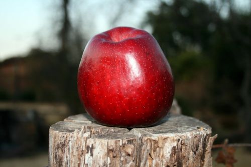 Bright Red Apple