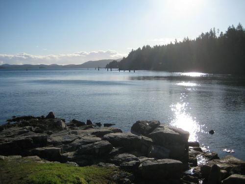 british columbia vancouver island landscape