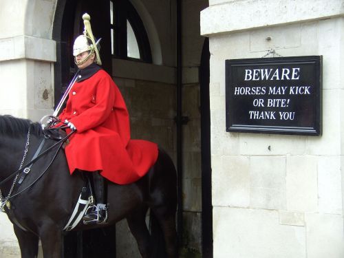 british guard horse soldier