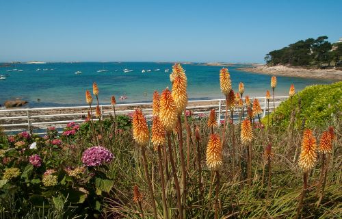 brittany beach bay