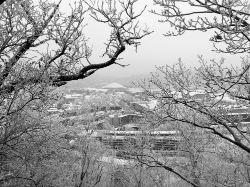 brno czech republic winter frost