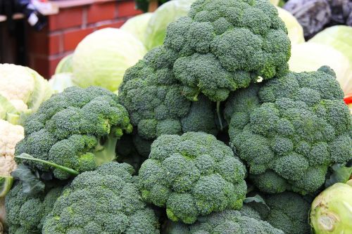 broccoli fruits fresh