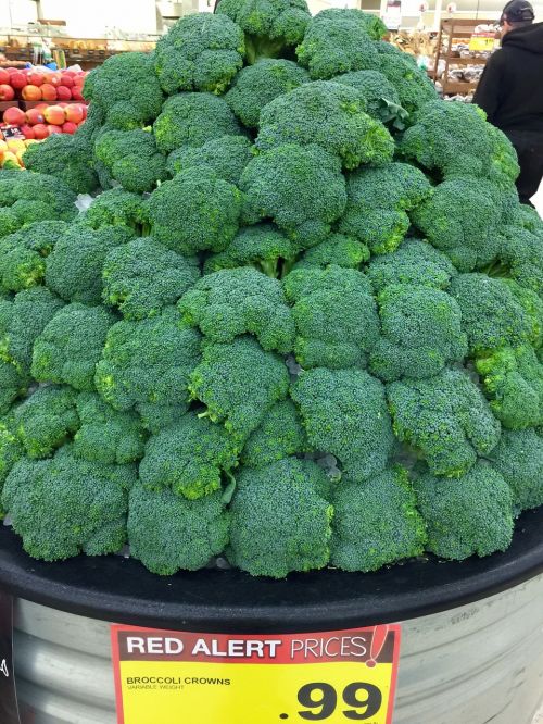 broccoli vegetables green