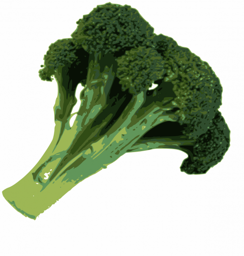 broccoli food green