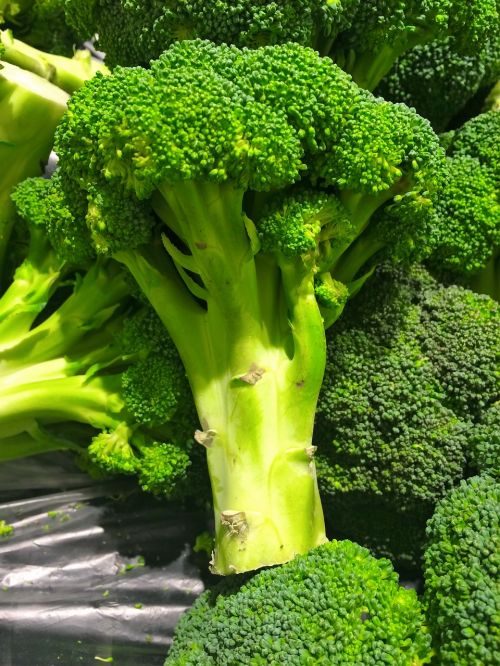 broccoli green seiyu ltd