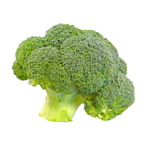 broccoli bunch floret