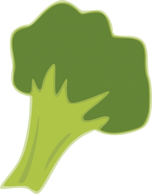 broccoli green vegetable