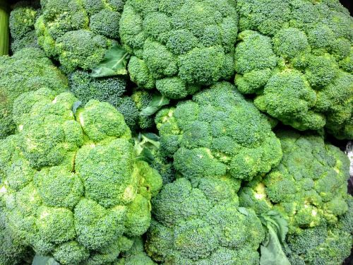 broccoli produce fresh