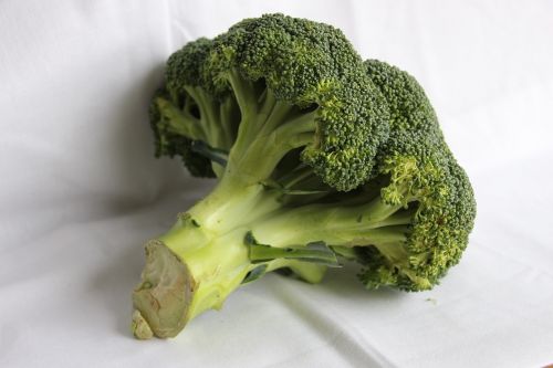broccoli vegetable fresh