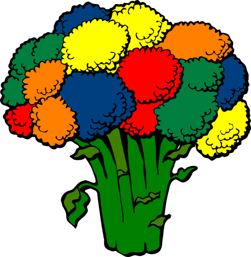 broccoli colors vegetable