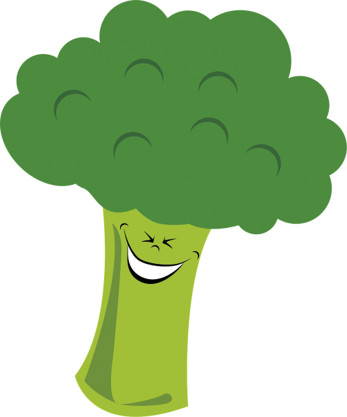 broccoli vegetables vegetable