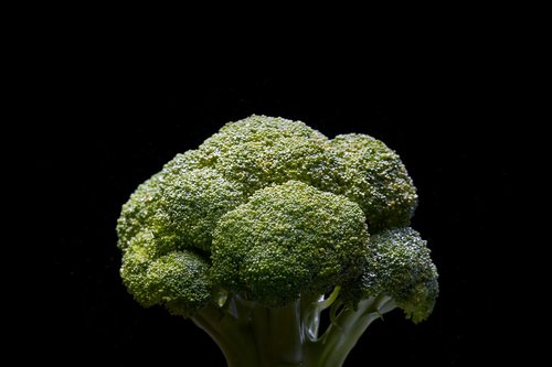broccoli  vegetable  green