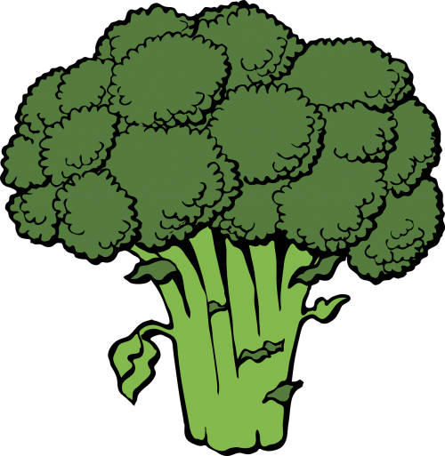 broccoli bunch head