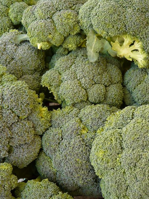 broccoli vegetables food