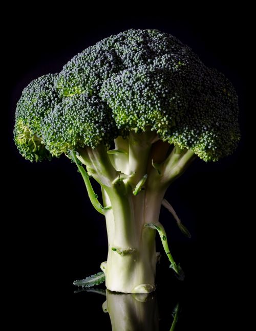 broccoli fresh food