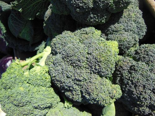 broccoli vegetables fresh vegetable market