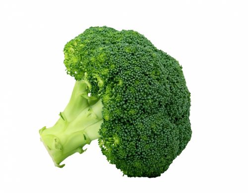 Broccoli Isolated On White