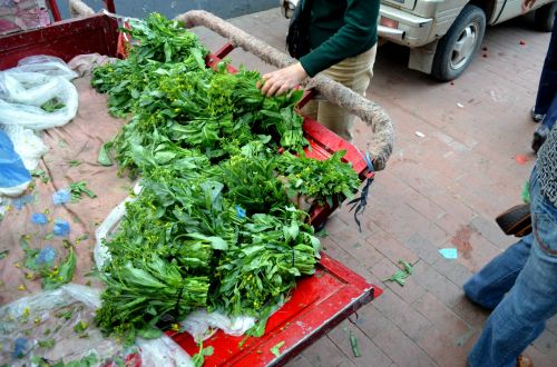 Broccoli Rabe