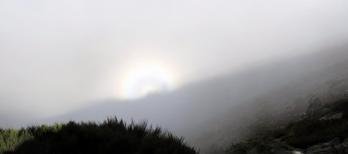 brocken spectre  fog  natural spectacle