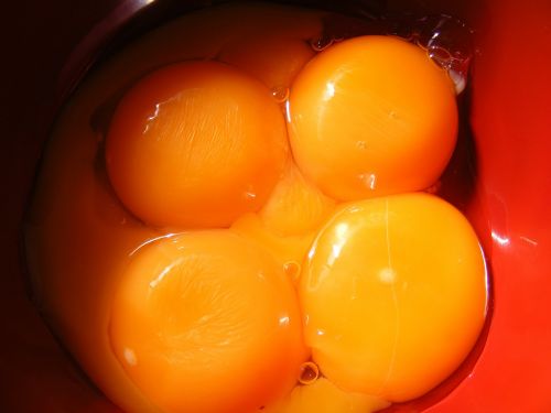 broken egg eggs
