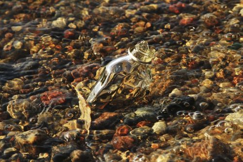 broken glass bottle the stones