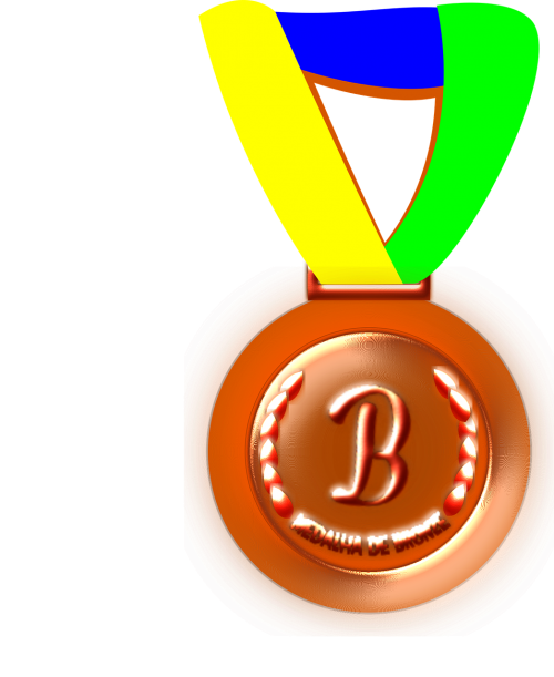 bronze bronze medal medal