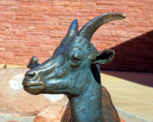 bronze desert bighorn ewe  bronze  statue