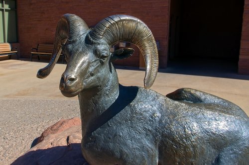 bronze desert bighorn ram  bronze  statue