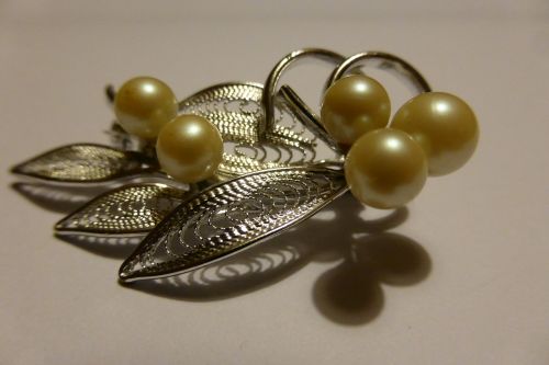 brooch jewellery fashion jewelry