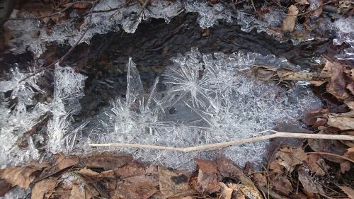 brook ice spring