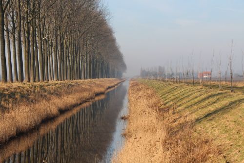 brook river nature