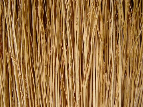 broom sticks macro