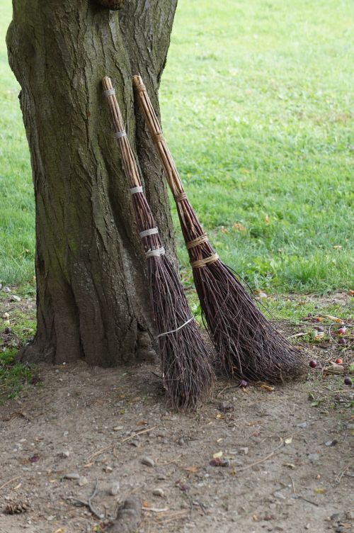 brooms tree grass