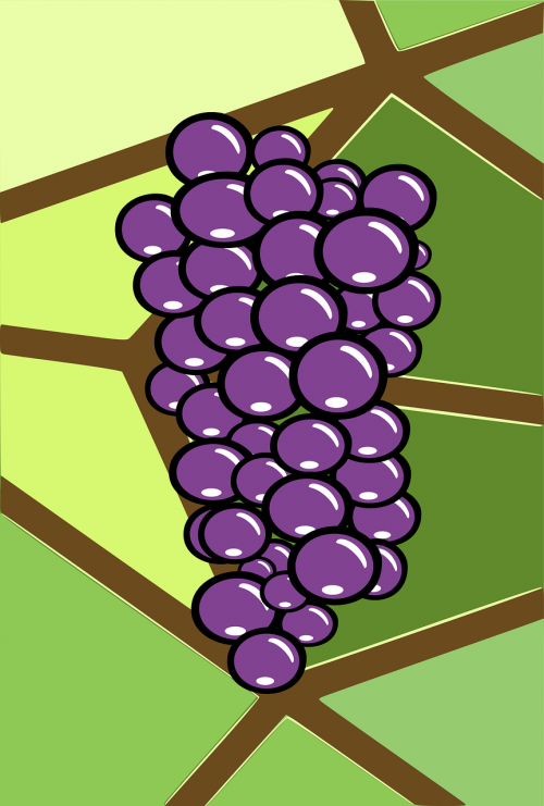 brown bunch grape