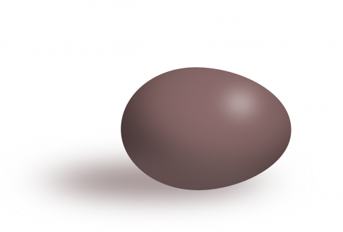 brown egg oval
