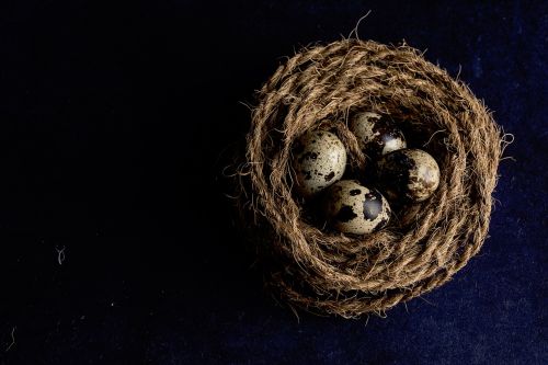 brown rope nest